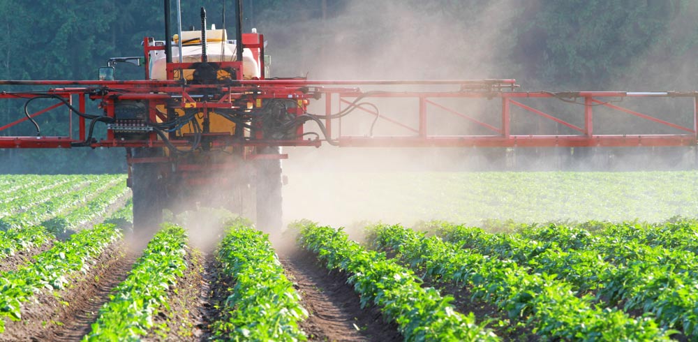 spraying pesticieds